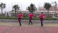 郏县李口镇东南村年年红广场舞                        站在草原望北京