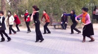 紫竹院广场舞——贝加尔湖畔1