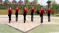 穿心村广场舞梦中的蝴蝶 广场舞视频下载mp4