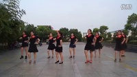 广场舞南泥湾16步 广场舞教程视频大全
