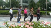 广场自由舞视频 广场舞回娘家视频 舞动青春广场舞 简单三步