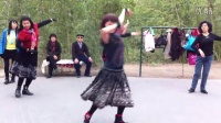 紫竹院广场舞——最炫民族风