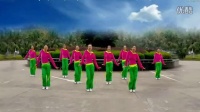 小鸡小鸡广场舞 广场舞蹈视频大全 广场舞教学 小鸡小鸡舞蹈
