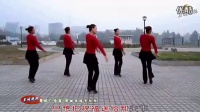 我的玫瑰卓玛拉 云裳广场舞蹈视频大全_高清