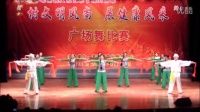 上海浦东老港广场舞（舞动天地）中港村舞蹈队表演节目
