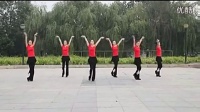 2015最新广场舞蹈视频大全 广场舞教学 最炫民族风