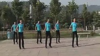 凤凰传奇最炫民族风广场舞视频 健身舞 教学视频16步的分解动作_标清