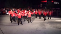 小青蛙广场舞舞动中国16人变队形