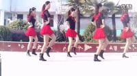 广场舞蹈视频大全 维娜广场舞 火火的姑娘新