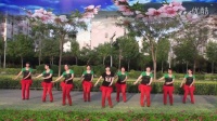 2015最新广场舞 欢声笑语飞过河 济南市锦屏家园健身队 附背面