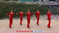 重庆冰彩广场舞 怎么了 春天编舞 带歌词