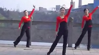 落叶广场舞舞步演示视频《欢乐中国年》