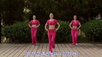 动动杨丽萍高清广场舞《小小新娘花》文字广告在上面.mp4