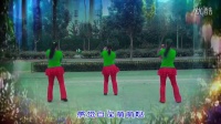 感觉自己萌萌哒 济南市锦屏家园健身队 制作小草林 2015最新子青广场舞 背面