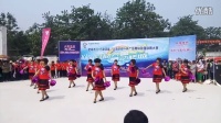 2015年山东省肥城市第四届广场舞选拔赛（东伏村）