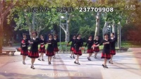 上海芳华广场舞--从头再来（1）