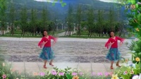 蓝田新城广场舞队《青藏阳光》2015年6月（004）合作版