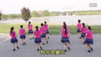 津滨鸿雁广场舞(大家一起来跳舞)队形版