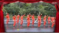 合肥大兴镇燕之梅舞蹈队—广场舞《阳光下的哈达》