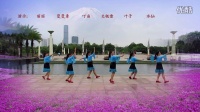 广西柳州彩虹健身队广场舞 雪域情歌 编舞 春英