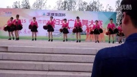 临沂市首届妇女广场舞大赛 【临港区】赛区一号参赛团队
