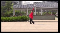 张春丽广场舞-《我爱唱情歌》廖弟老师合作版