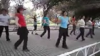 台湾广场舞--排舞-dj男人就是累【演示和教学】
