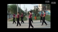 广场舞蹈视频大全16步分解动作教学荷塘月色(最新配乐版)