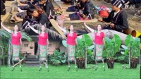 淡淡的紫红学跳海南原创广场舞《黎族织锦舞》