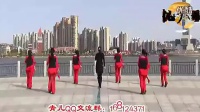 广场舞蹈视频大全小苹果16步分解动作太囧---演唱：海生（我们盐城籍歌手）（流畅） (2