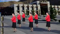 广场舞分解动作教学 广场舞视频下载 梦中的唐古拉