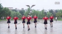 跳到北京广场舞分解动作 广场舞歌曲大全 广场舞16步分解