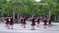 上海芳华广场舞--梦中的蝴蝶