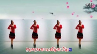 广场舞【风儿带走我的情】广场舞教学视频分解慢动作
