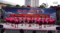 2015.8.23.珠海狮山南美广场舞健身队，彩球舞（我相信）