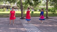 赵飞燕姐妹花舞蹈队广场舞幸福的歌