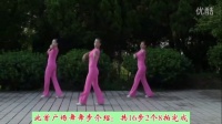 广场舞教学自由飞翔分解动作慢动作视频