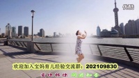 2015热门广场舞视频 广场舞全集  广场舞 上海滩现代版