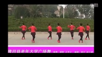 广场舞蹈视频大全2015《回娘家》广场舞分解动作大全 [超清HD]