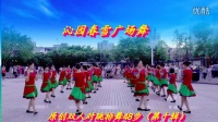 沁园春雪广场舞原创双人舞48步（第十辑 ）全民共舞  附分解