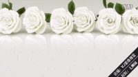 L00294精品冲冠LED视频设计大屏幕素材 婚庆婚礼结婚爱情玫瑰花白