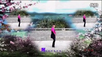 阳光四季美梅广场舞-原创-【梦中新娘】制作：永不疲倦  编舞：美梅