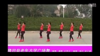 广场舞蹈视频大全2015《回娘家》教学视频大全分解动作 [超清HD]