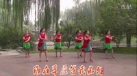 北京龙潭香儿广场舞-《美美的情歌》