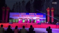 火龙镇第二届文化艺术节广场舞比赛第一名葛村江南梦里