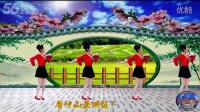 陈汉闵玉珍广场舞广场舞-相约在花开的草原