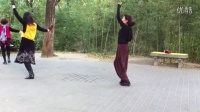 紫竹院广场舞——月光下的凤尾竹
