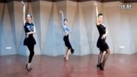 2015广场舞蹈视频大全 肖珺月拉丁广场舞《活力节拍》_标清_标清