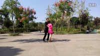 广场交谊舞 双人舞桑巴（桑巴舞曲）拍摄于金华婺州公园