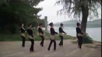 广场舞蹈视频大全2015《印度美女》惊艳（正反示范教程）